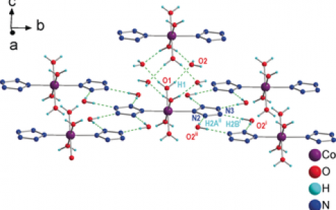 南京理工大学胡炳成教授团队Angew. Chem. Int. Ed:钴(II)离子捕获cyclo-N5ˉ阴离子形成的对称高氮化合物Co(N5)2(H2O)4·4H2O