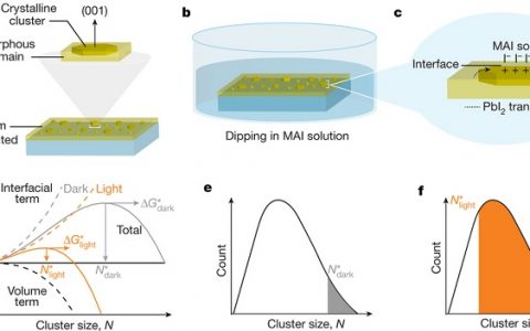 大牛Nature速递: Michael Grätzel带你探索沉积过程中光对钙钛矿膜成核及形貌的影响