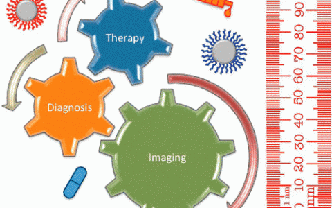 顶尖学者最强阵容ACS Nano综述:纳米医学的多样化应用