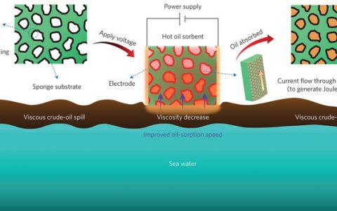 中科大俞书宏Nature Nanotechnology重磅:原油泄露噩梦的终结者——石墨烯包覆的海绵!