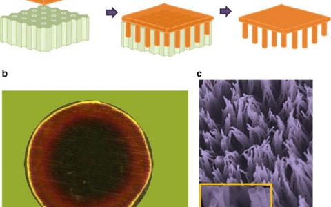 武汉大学Nature子刊:在熔融温度以下用纳米压印法一步制备晶态金属纳米线阵列