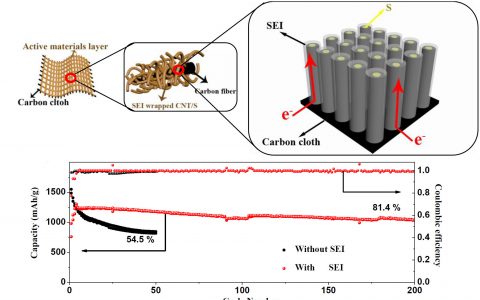 Adv. Mater.: 提高硫正极循环稳定性的新策略——智能SEI膜有效抑制“穿梭效应”
