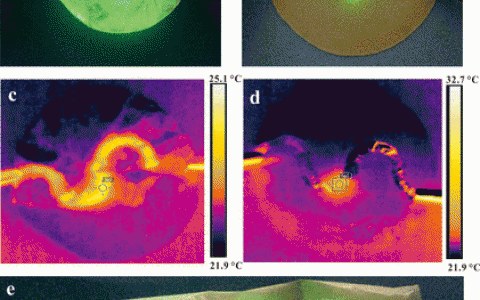 Nano Lett.:具有高导热性能的氮化硼纳米管/纤维素纳米纤维纳米复合材料