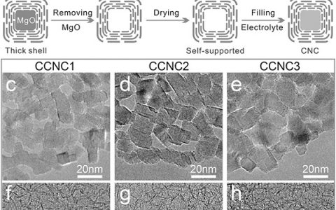 南京大学Adv. Mater. ：利用毛细作用进行孔结构优化制备超高电容性能碳纳米笼