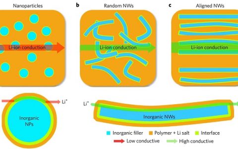 崔屹最新Nature Energy:有序排列陶瓷纳米线显著增强复合聚合物电解质离子电导率