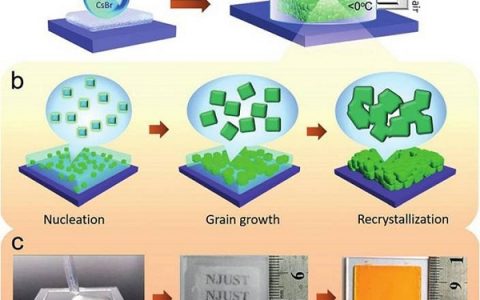 Angew. Chem. Int. Ed.:基于Mie散射的多孔界面融合的钙钛矿薄膜协同增强光捕获和载流子运输能力