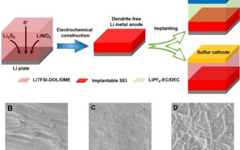 清华大学张强教授组金属锂负极进展Chem:可移植固态电解质界面膜抑制枝晶生长