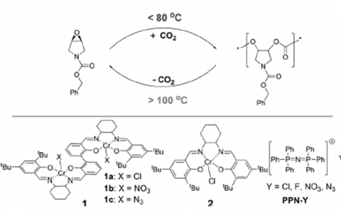 Angew. Chem. Int. Ed.: 大连理工-完全可回收的单体和聚碳酸酯