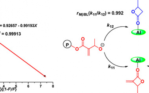 Macromolecules: 通过内酯的可控性开环共聚合制备官能化聚酯的研究新进展