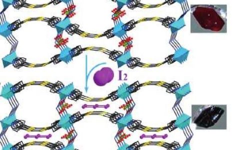 Angew. Chem. Int. Ed.南京大学:基于四硫富瓦烯配体的光电转换性自旋交叉Fe(II) -MOF