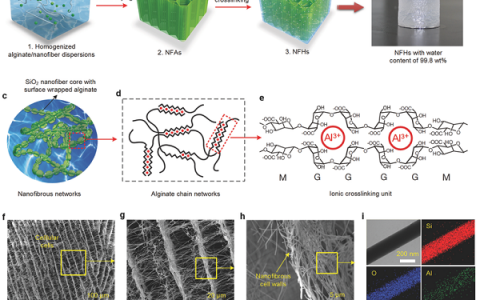 Adv. Mater. :东华大学研发高压敏电导率形状记忆纳米纤维组装水凝胶