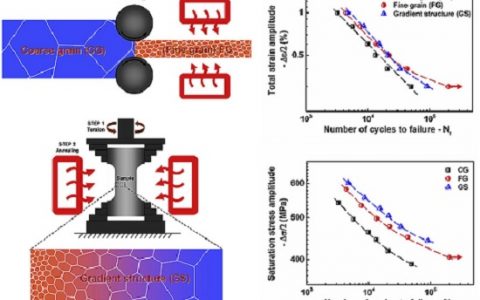 Acta Mater.:通过调节晶粒尺寸及其分布来提高TWIP钢的低周疲劳性能
