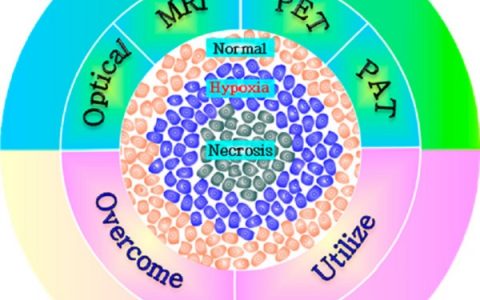 施剑林课题组Chem.Rev.最新综述: 用于成像和治疗肿瘤缺氧的功能化探针的化学设计和合成