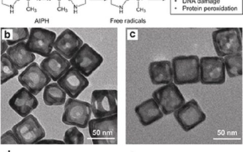 夏幼南最新Angew. Chem. Ind. Ed：纳米杂化材料用于可控自由基生成和缺氧癌细胞的氧化破坏