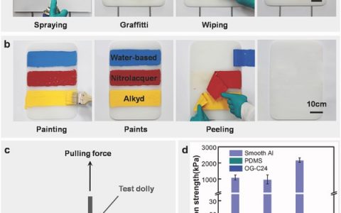 中科院化学所Adv. Mater.：具可再生烷烃表层的仿生固体有机凝胶