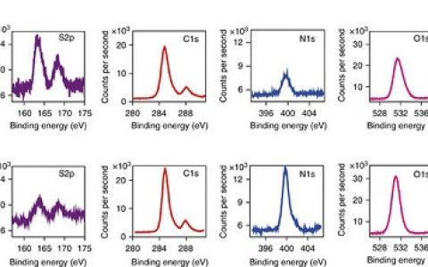 蒋兴宇Nat. Commun.：金纳米团簇辅助递送NGF siRNA用于胰腺癌治疗