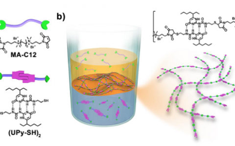 清华大学张希课题组：超分子界面聚合新进展