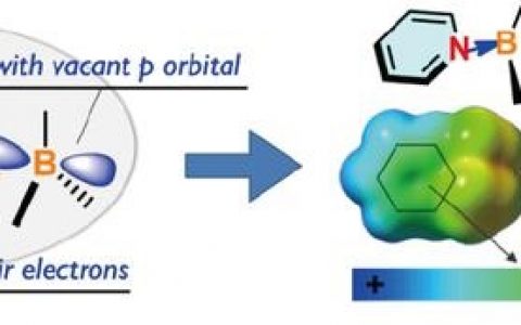 刘俊&窦传冬Sci. China. Chem.最新综述：将含有B←N单元的共轭聚合物作为电子受体用于全聚合物太阳能电池
