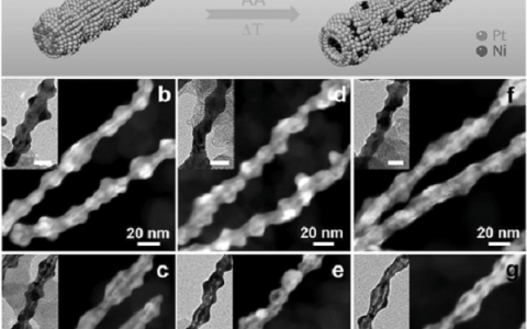 黄小青Adv. Funct. Mater.：实现对一维Pt-Ni高效电催化剂纳米结构的调控与优化
