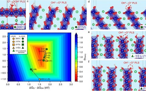 崔屹团队JACS：通过析氧反应分辨电化学调谐LiCoO2的活性晶面