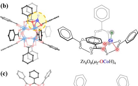 J. Am. Chem. Soc. ：新型MOF结上单位点钴催化剂应用于芳硝基化合物，氰类，异氰化合物的高活性加氢