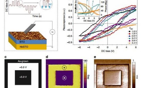 Nature子刊:通过设计肖特基势垒实现金属/铁电/半导体隧道结的超大隧穿电阻