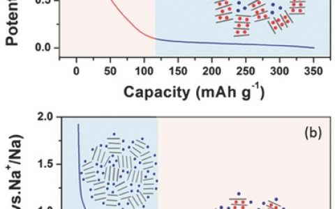 武汉大学曹余良团队和美国西北太平洋国家实验室Jun Liu团队Adv.Energy Mater.上发表：硬碳储钠机制再认识