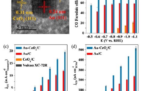 大连化物所汪国雄团队和中科院院士包信和团队：二氧化碳电催化还原研究获进展