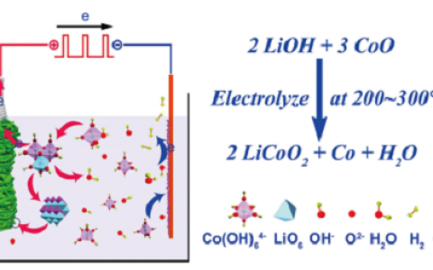 南京大学张会刚团队和伊利诺伊大学香槟分校Paul Braun团队：电镀电池新进展