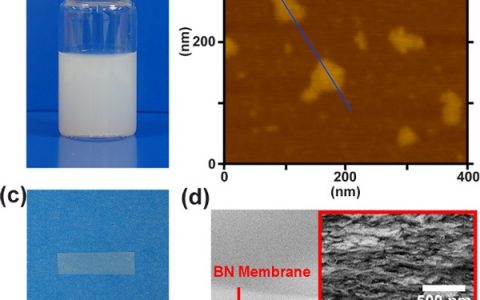 JACS:具有高离子电导率的BN二维纳米流体通道