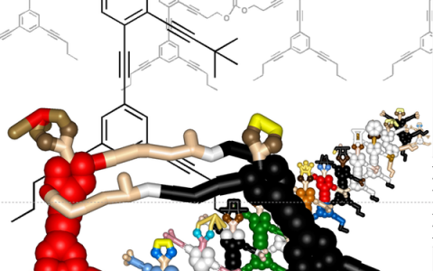 你见过纳米小人跳舞吗？