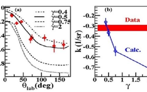 清华大学物理系肖志刚研究团队在核反应同位旋动力学研究中取得进展