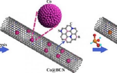 北京大学工学院邹如强课题组在稳定高效电解水制氢催化剂材料研究中取得重要进展