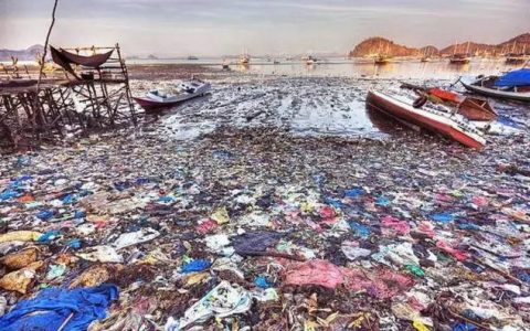 神奇的“点金术”