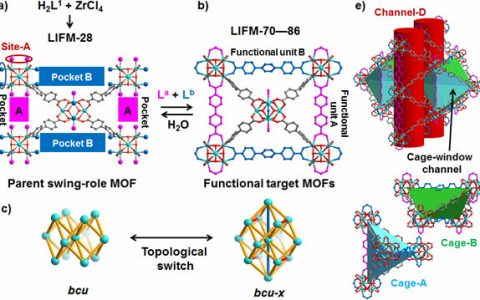 JACS: 动态隔层配体插入法: 构建多任务或可变任务MOF