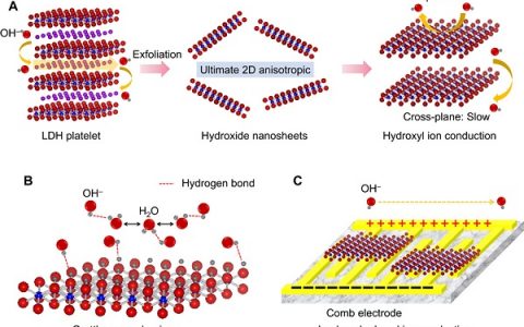 清华大学朱宏伟团队：LDH纳米片高各向异性氢氧根离子传导