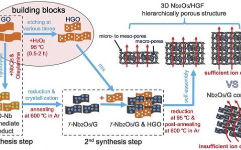 段镶锋Science重磅：商业级高载量三维多孔石墨烯/氧化铌复合物实现超高倍率能量储存