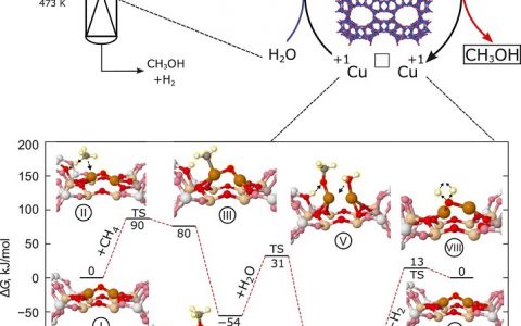 Science重磅：选择性厌氧助力大规模甲烷直接转化甲醇