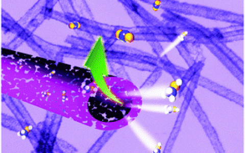 俞书宏Energy Environ. Sci.: 高效催化新选择-具有分子可3D接触和重构表面的高度结晶PtCu纳米管