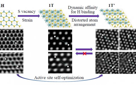 Angew. Chem. Int. Ed.：1T-MoS2光催化制氢-不可逆相转变自优化新机制
