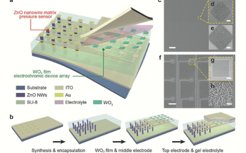 Adv.Mater.智能材料矩阵可对压力分布进行视觉成像和记录