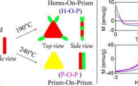 Nano Lett.:具有独特磁特性的各向异性Fe3O4/Mn3O4混合纳米晶体