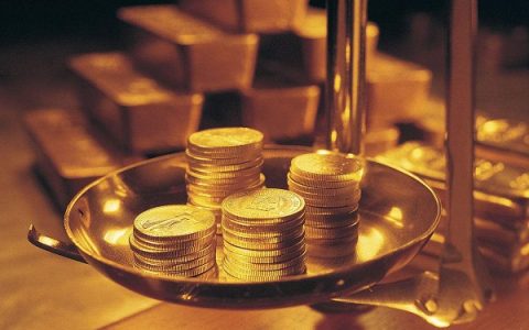 可降解金属的“百科全书”