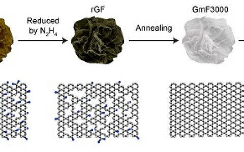 浙大高超教授团队:高质量石墨烯电极材料研究取得新进展