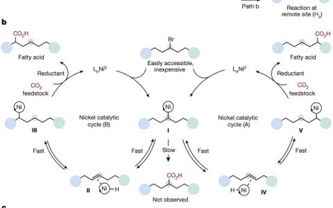 今日Nature速递: 卤代脂肪族碳氢化合物与二氧化碳的远程羧化