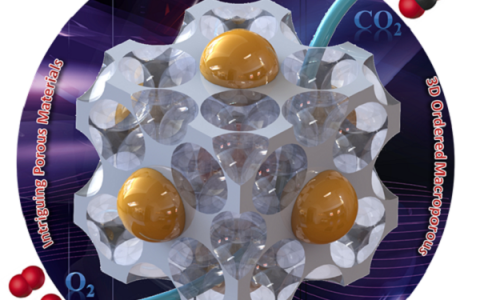 科技资讯写作大赛｜Nature子刊新突破 戴洪兴&新南UNSW：三维大孔断裂再组装的六足虫纳米钙钛矿