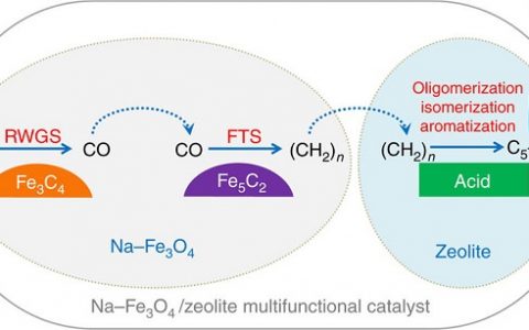 大连化物所二氧化碳催化转化研究获进展