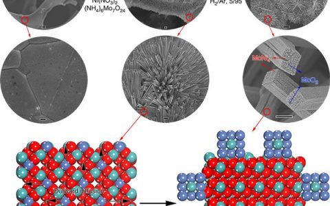 Nature子刊:具有快速水解动力学特性的MoNi4电催化剂用于高效产氢