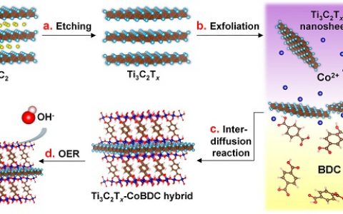 ACS Nano: 利用相互扩散辅助复合二维MOF和Ti3C2Tx纳米薄片用于电催化析氧反应