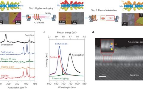 Nature Nanotechnology:过渡金属硫化物的双面单分子层材料